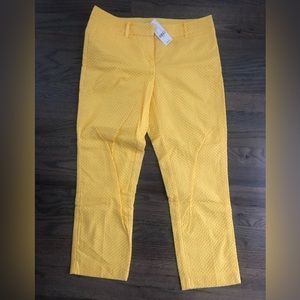 New York & Co capris